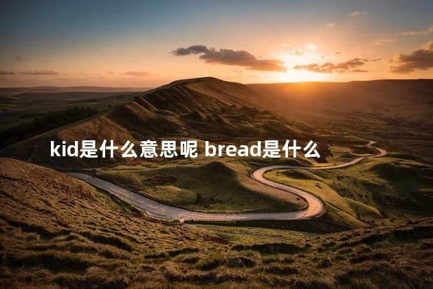 kid是什么意思呢 bread是什么意思